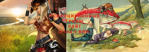 дживик Алексин
