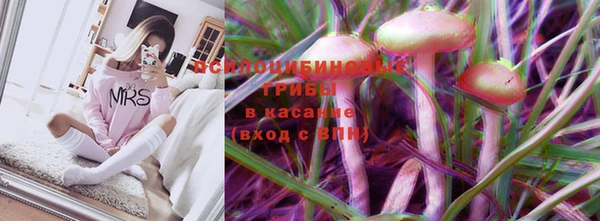 каннабис Алзамай