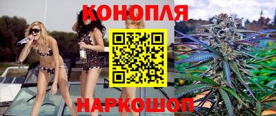 СК Можга