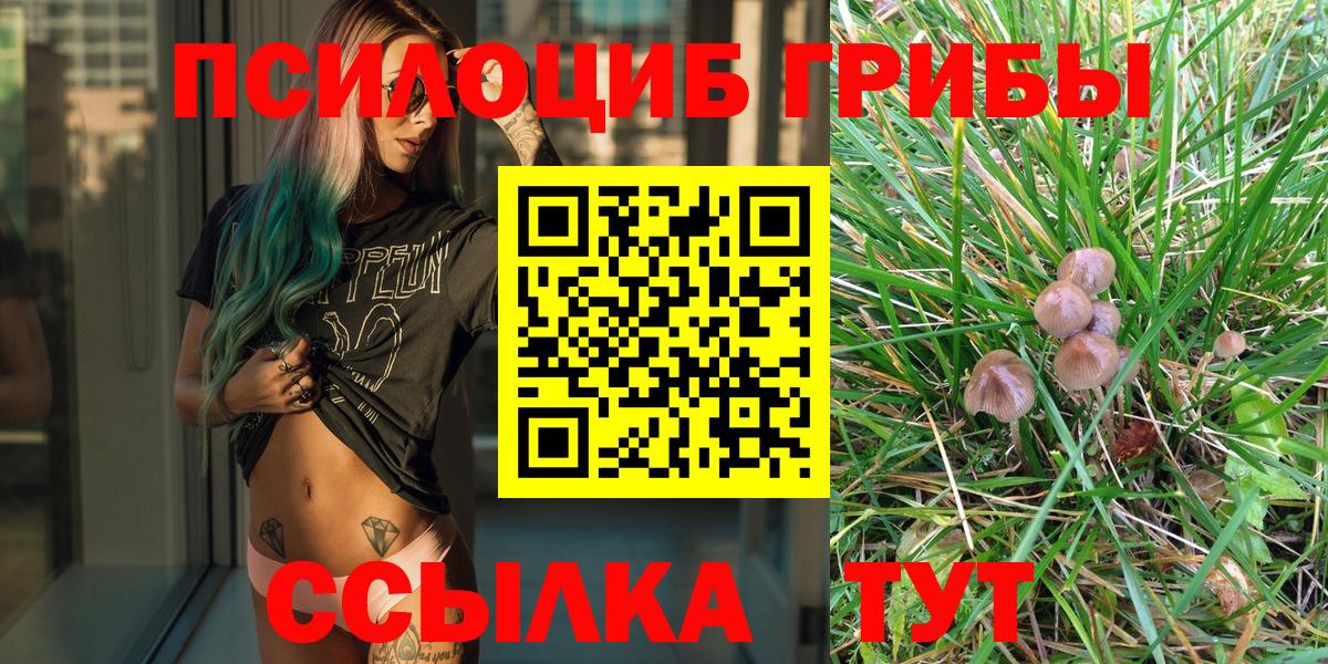 Галлюциногенные грибы Cubensis  Вход с VPN  как найти   Галлюциногенные грибы мицелий  Первоуральск 