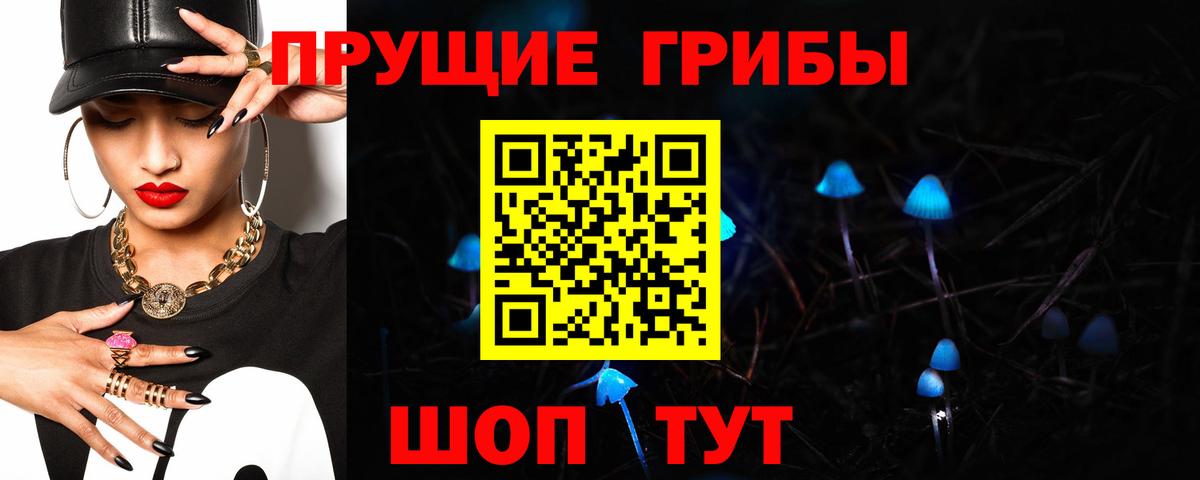 Галлюциногенные грибы Psilocybe Первоуральск